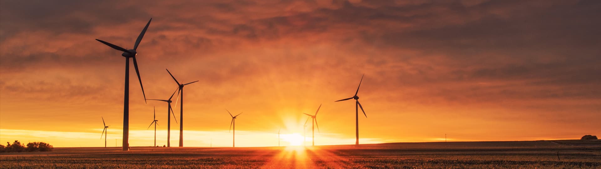 Xpansiv Acquires HVB and Iguanadata