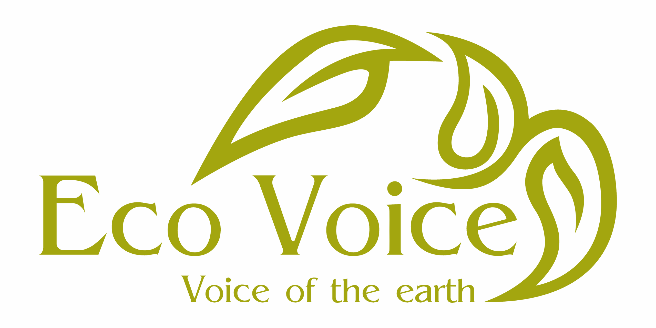 Growing Voluntary Carbon Market Draws Increased Investment